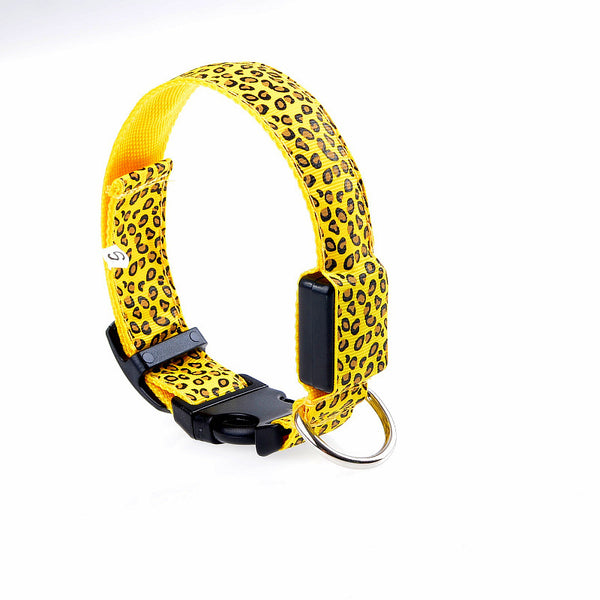 Rechargeable LED Light Up Flash Dog Band Collar