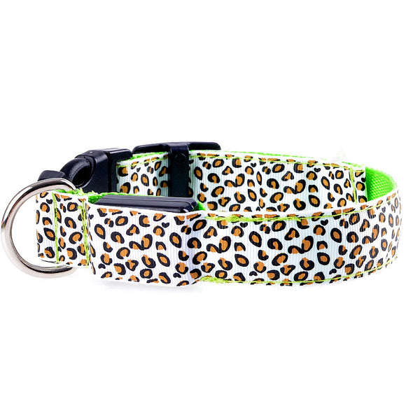 Rechargeable LED Light Up Flash Dog Band Collar